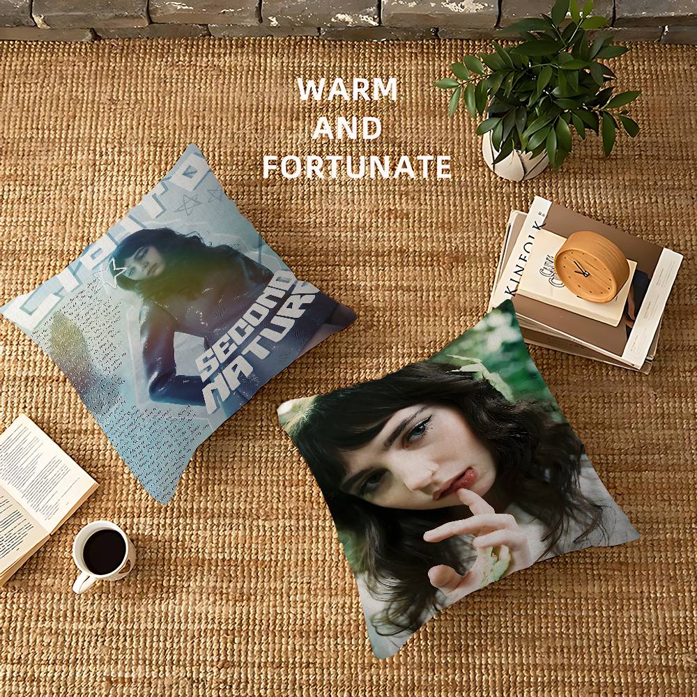 Singer C-Clairo Charm P Pillow - Home Textiles Inc recension och pris