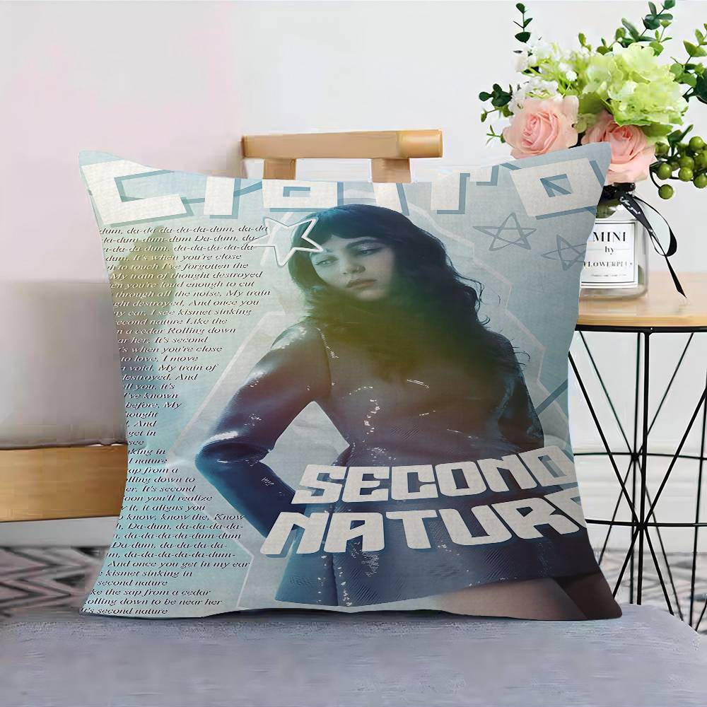 Singer C-Clairo Charm P Pillow - Home Textiles Inc recension och pris