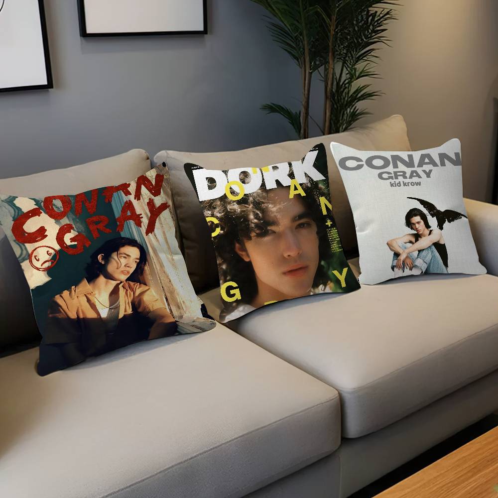 Singer C-Conan Gray Personaliz - Home Textiles Inc recension och pris