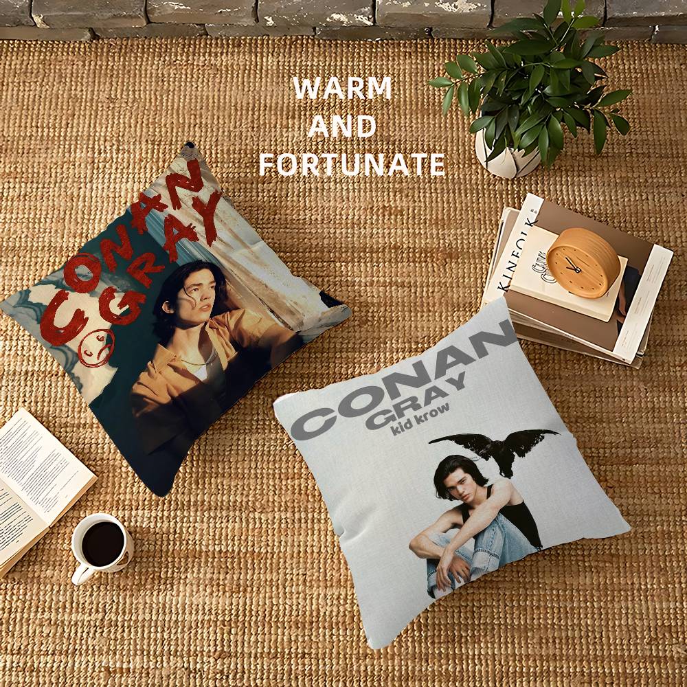 Singer C-Conan Gray Personaliz - Home Textiles Inc recension och pris