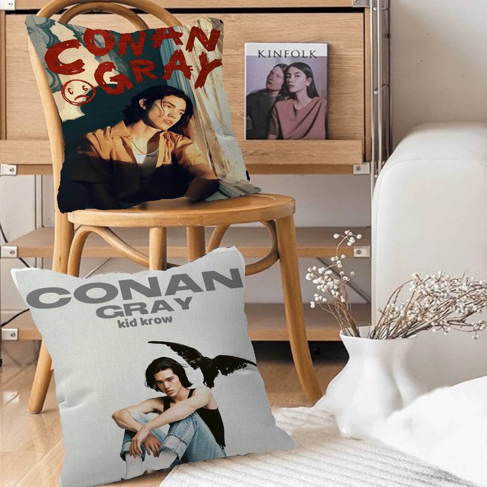 Singer C-Conan Gray Personaliz - Home Textiles Inc recension och pris