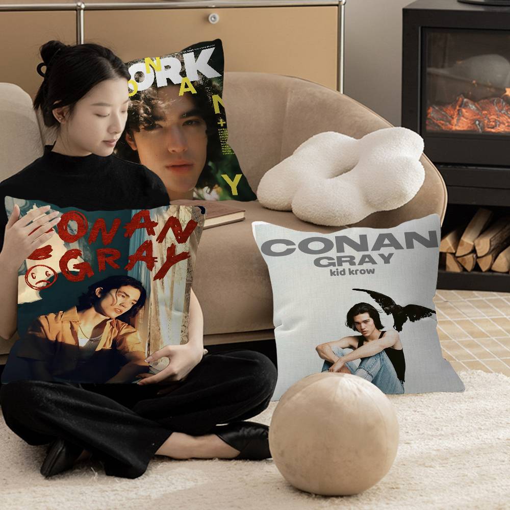 Singer C-Conan Gray Personaliz - Home Textiles Inc recension och pris