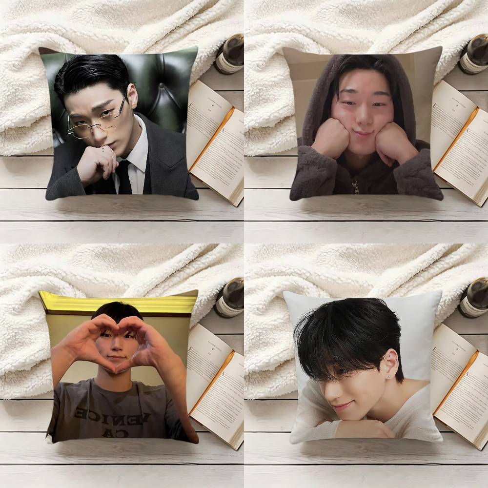 C-Choi S-San Pillow Cover Sofa - Home Textiles Inc recension och pris