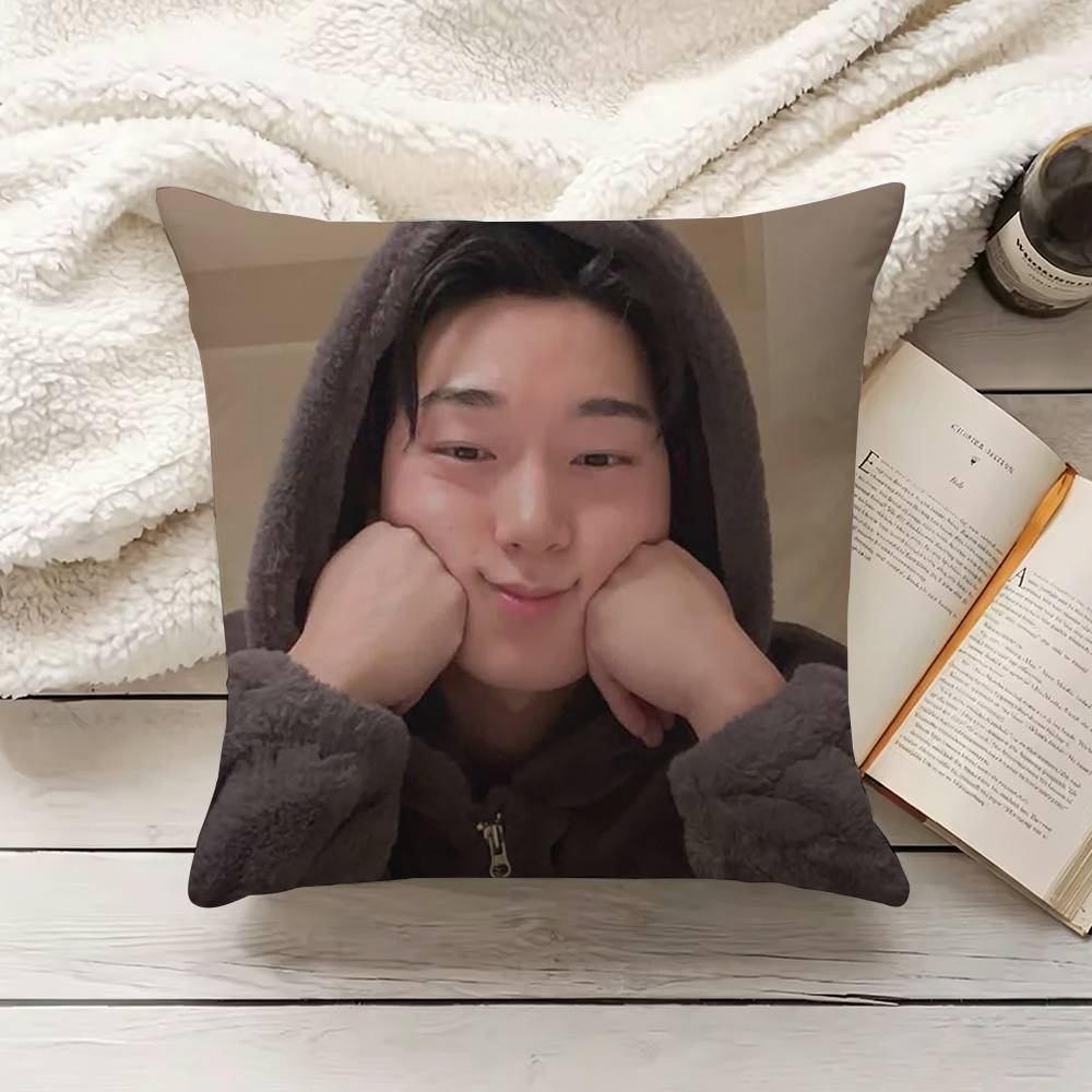 C-Choi S-San Pillow Cover Sofa - Home Textiles Inc recension och pris